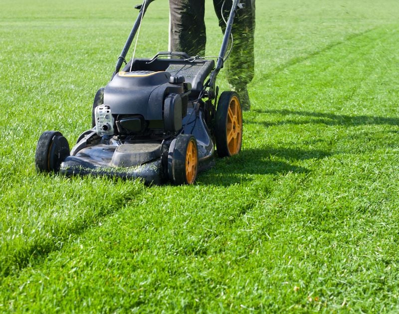 lawn work for best side hustles for college students